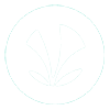 JioSaavn